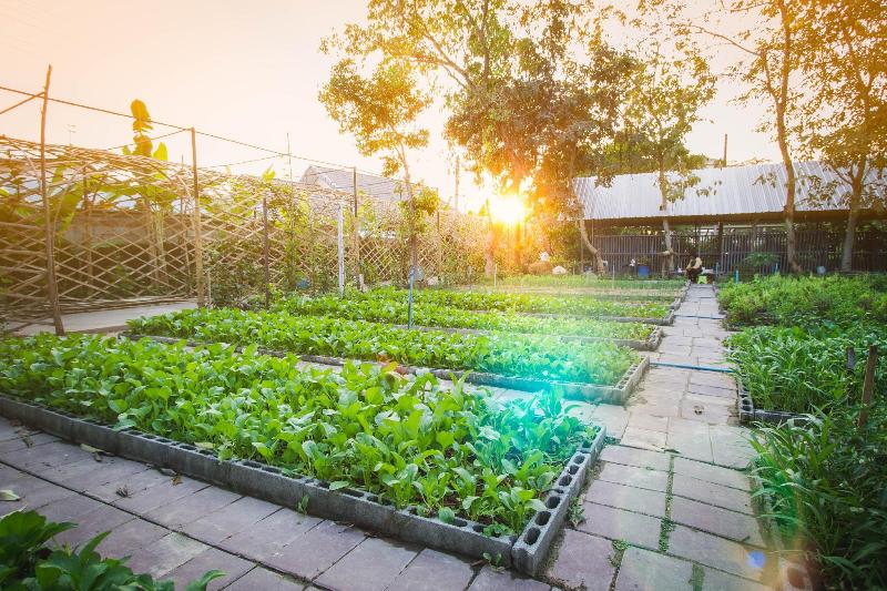 בית מלון כפרי Rattana Park