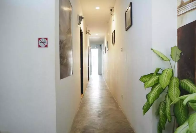 Majatalo Chino Town Gallery Alley   Sha Plus