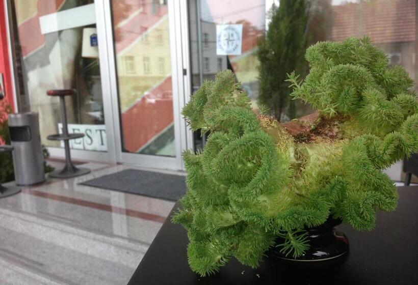 בית מלון כפרי B&b Stadion