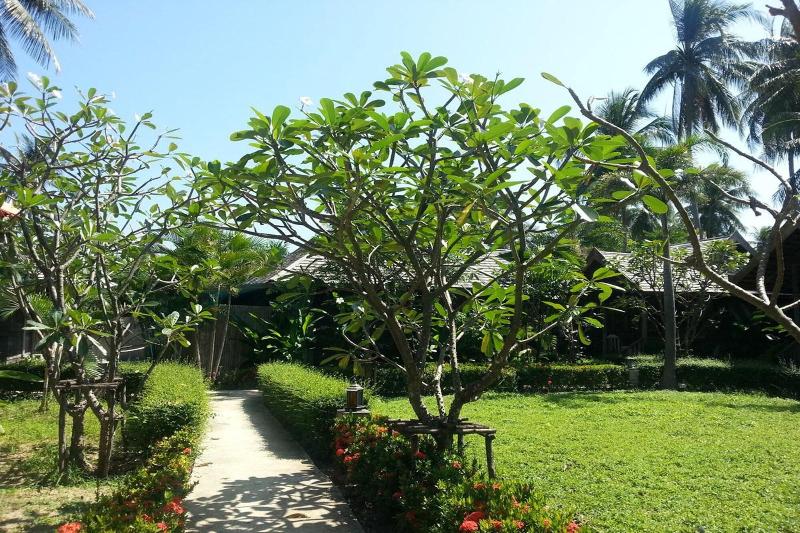 New Ozone Resort & Spa