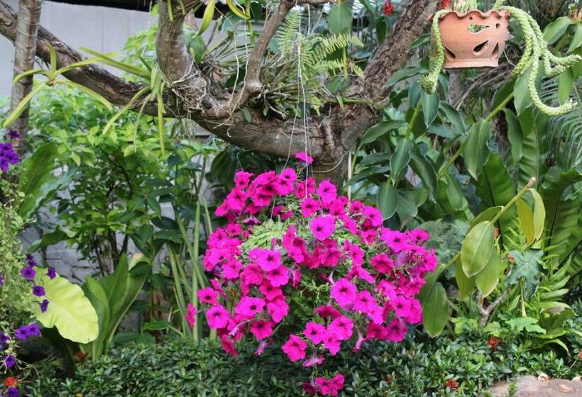 White Elephant Resort