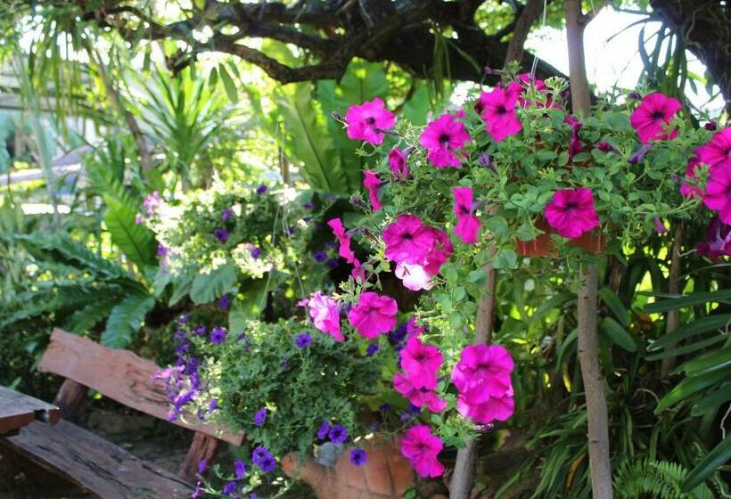 White Elephant Resort