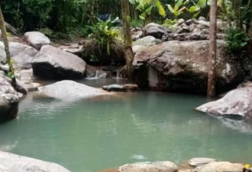 ホテル Chirripo Art