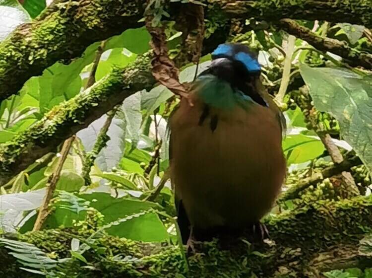 ホテル Chirripo Art