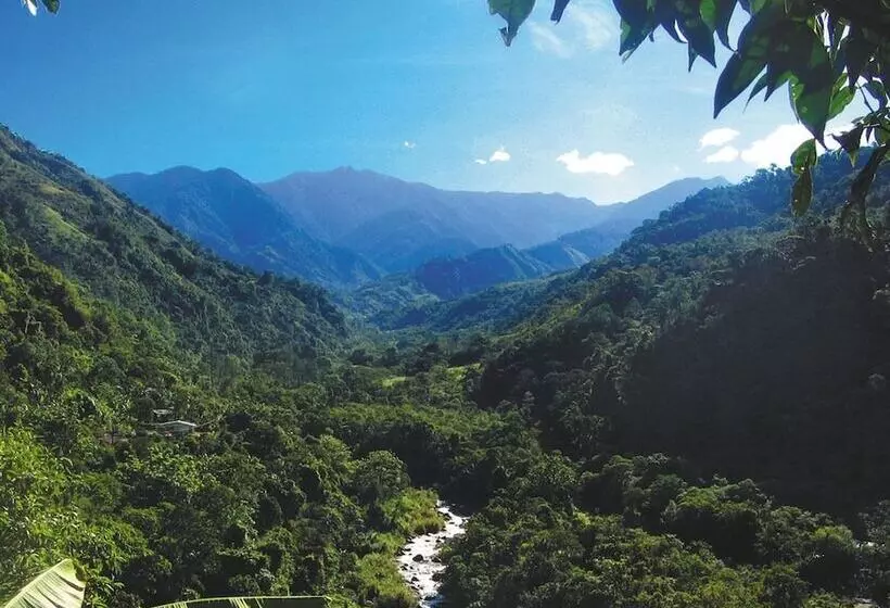 Hotelli Chirripo Art