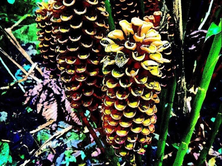 ホテル Chirripo Art