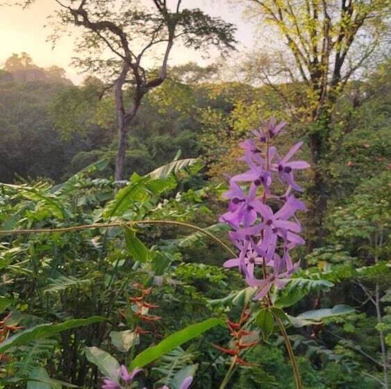 ホテル Chirripo Art