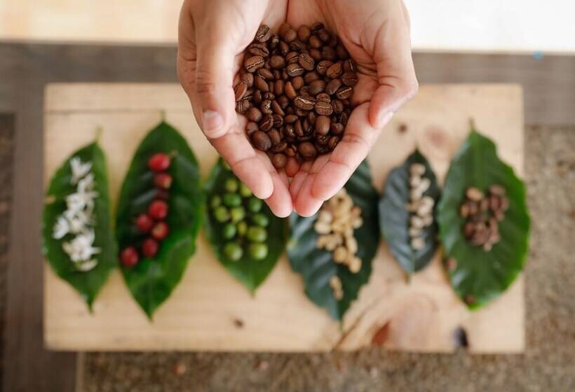 فندق ريفى Hacienda Boutique Santa Rosanna