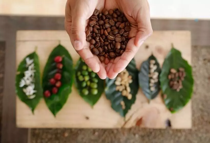 田舎風ホテル Hacienda Boutique Santa Rosanna