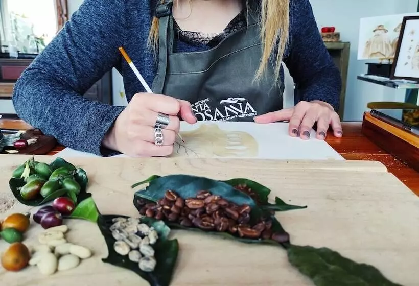 田舎風ホテル Hacienda Boutique Santa Rosanna