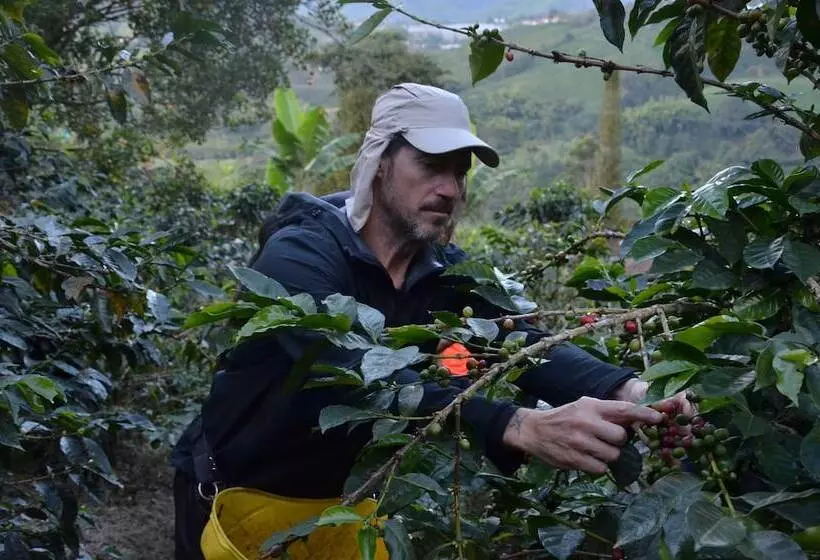 田舎風ホテル Hacienda Boutique Santa Rosanna