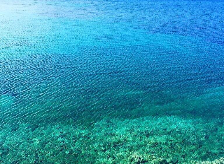 Отель Bluetopia Suites