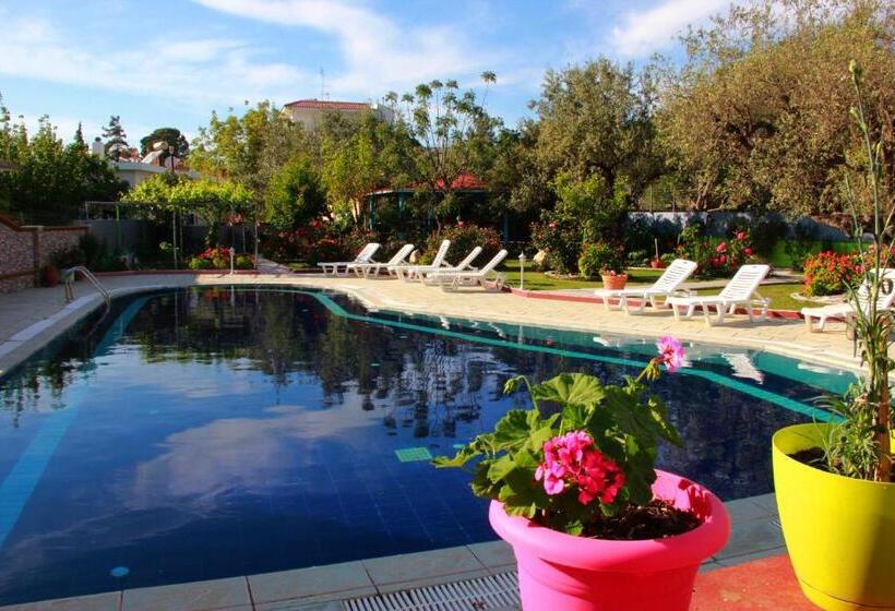 בית מלון כפרי Dimitra Sun