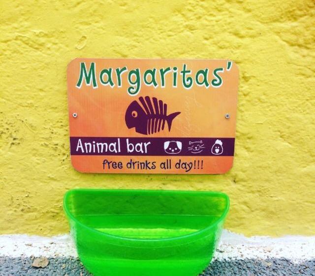 فندق Viva Margarita