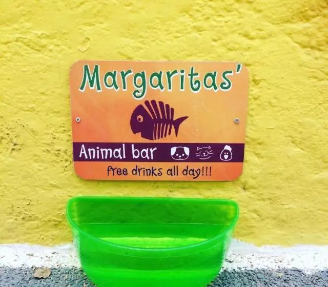 هتل Viva Margarita