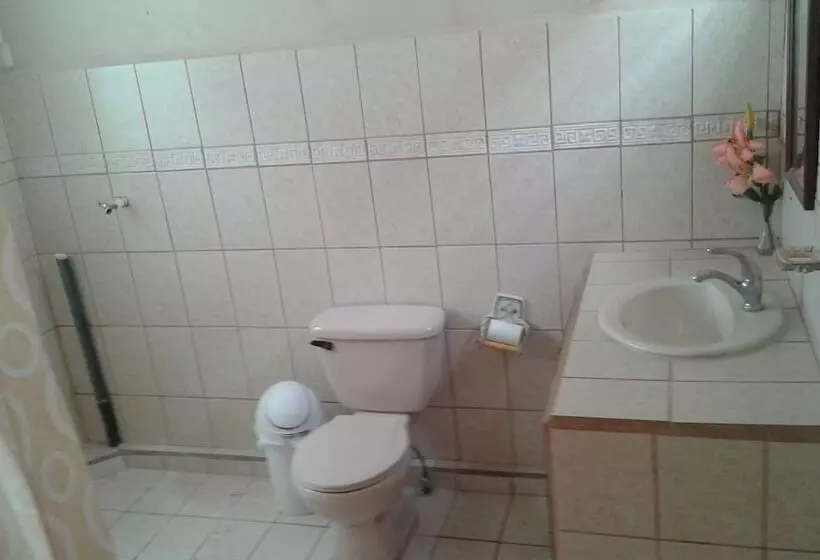 Costa Rica Love Apartments & Rooms   Hostel