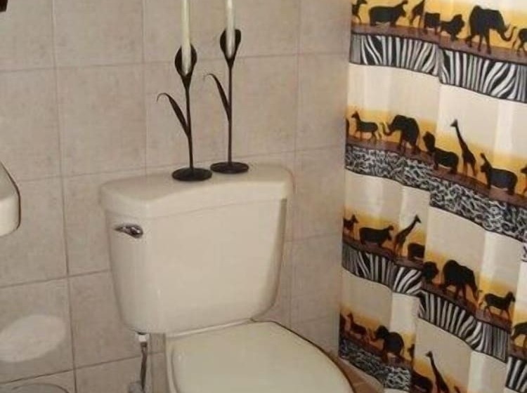 Green Forest Of Coco Beach Studios