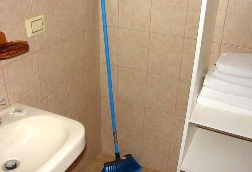 Green Forest Of Coco Beach Studios