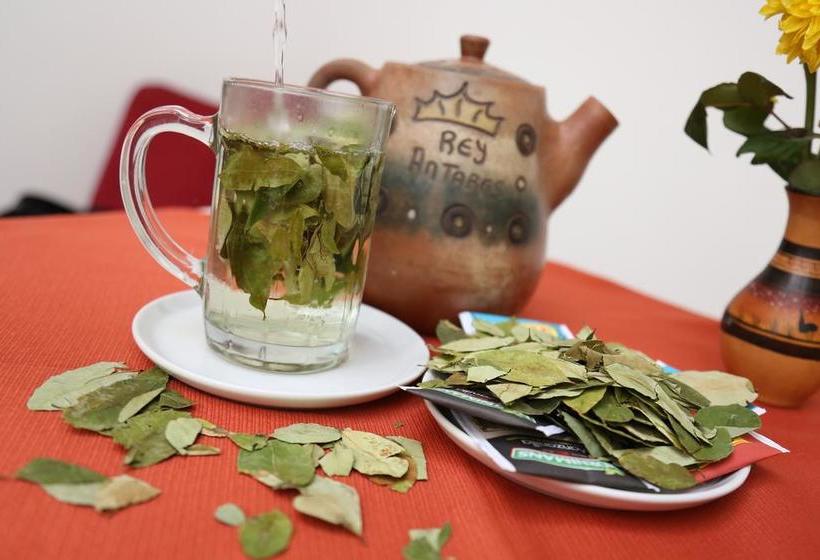 Hotel Antares Mystic