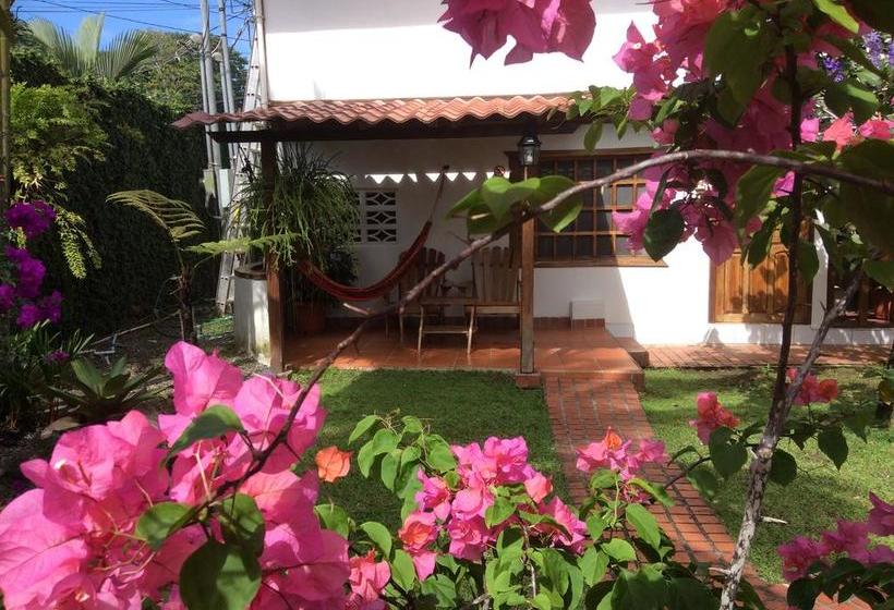 هتل Cabinas Tropical