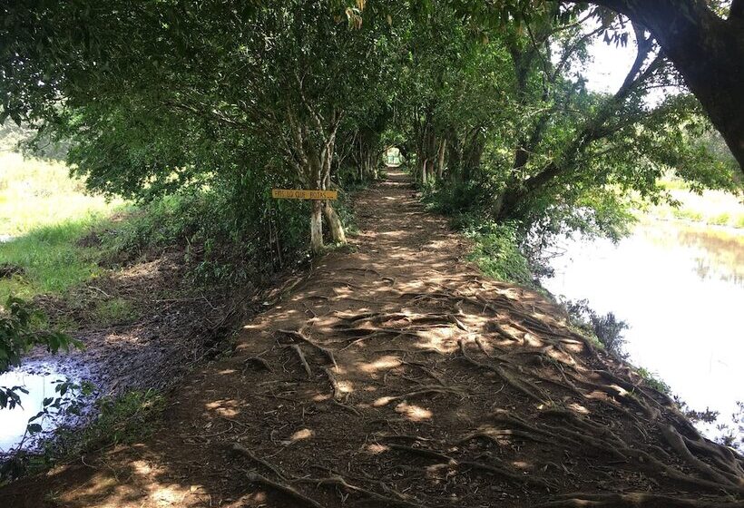 酒店 Caño Negro Wetlands Lodge