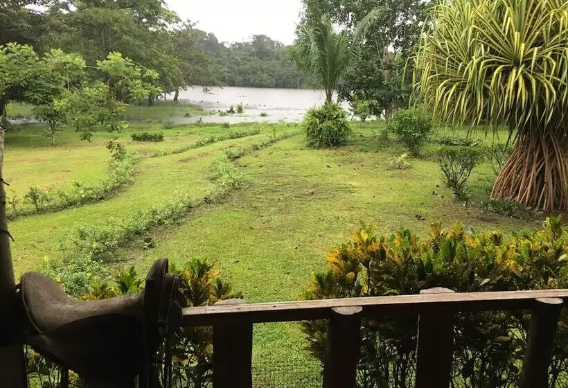 هتل Caño Negro Wetlands Lodge