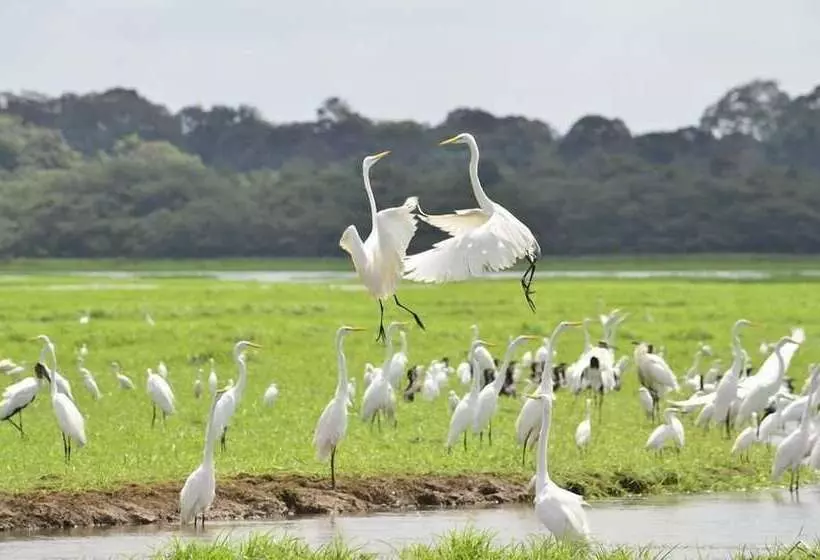 هتل Caño Negro Wetlands Lodge