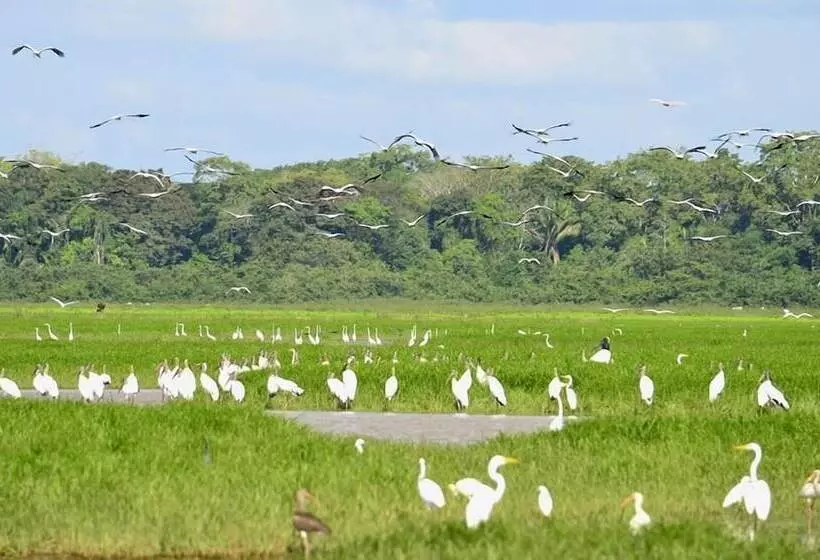 هتل Caño Negro Wetlands Lodge