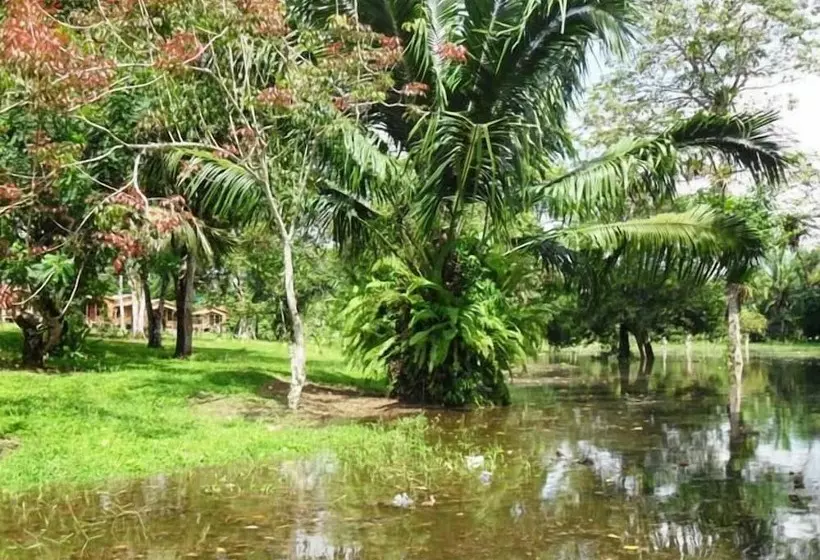 هتل Caño Negro Wetlands Lodge