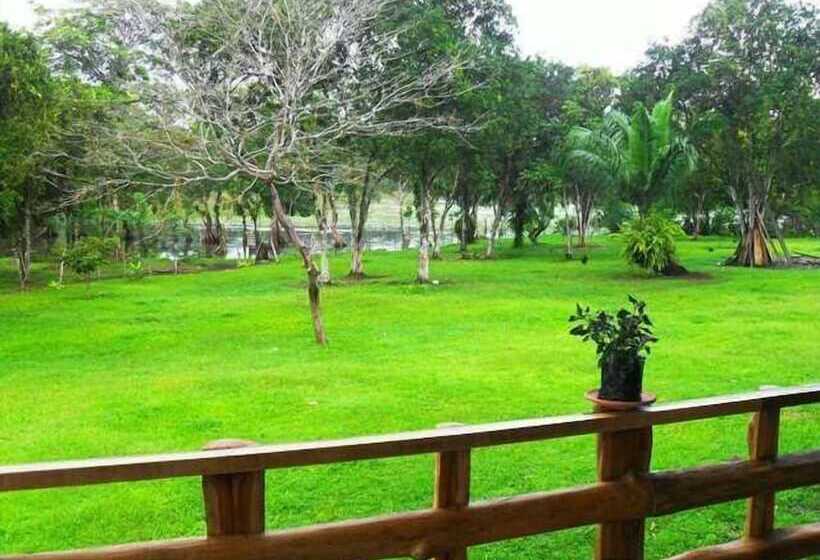 酒店 Caño Negro Wetlands Lodge