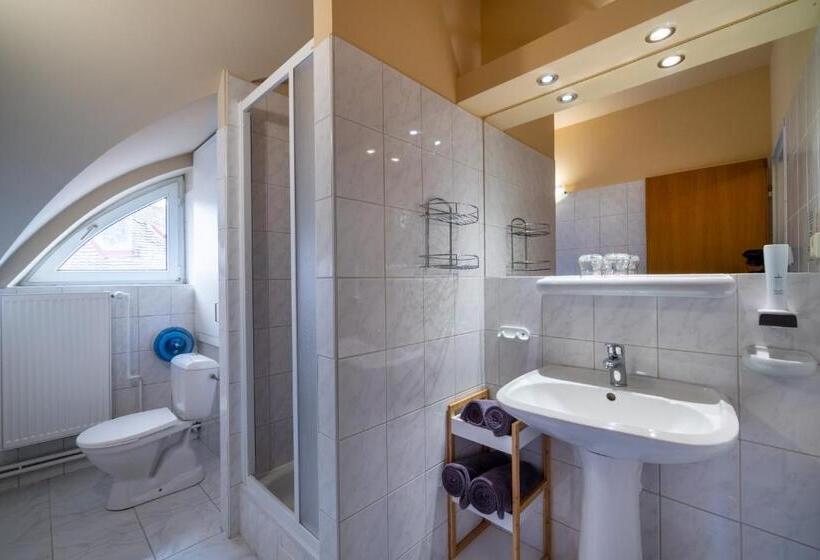 Szálloda U Vlašského Dvora