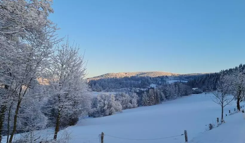 ホテル Zlatý Potok