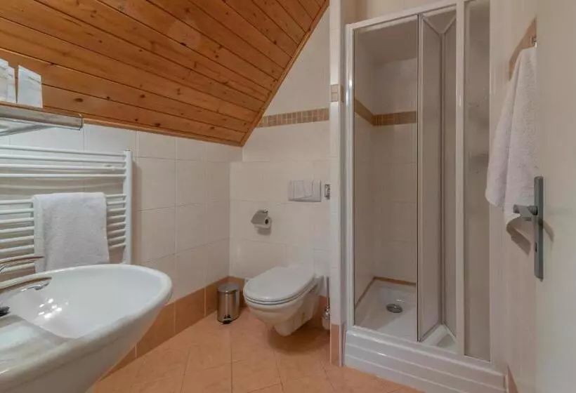 Wellness Hotel šedý Vlk