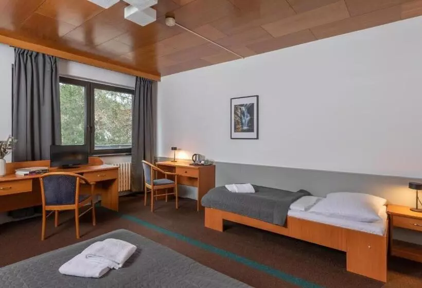 Wellness Hotel šedý Vlk