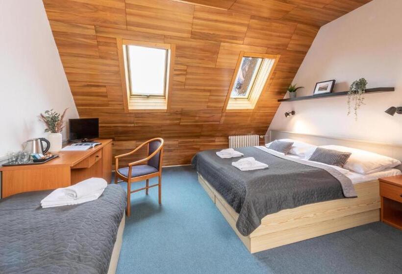 Wellness Hotel šedý Vlk