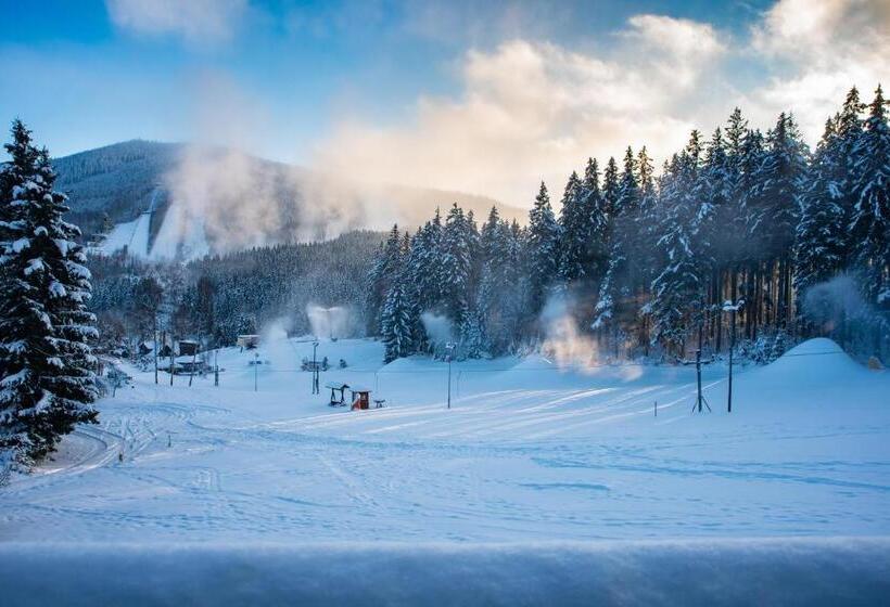 Wellness Hotel šedý Vlk