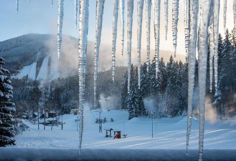 Wellness Hotel šedý Vlk