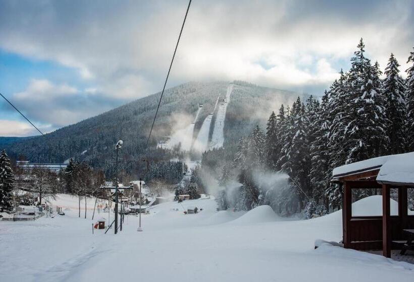 Wellness Hotel šedý Vlk
