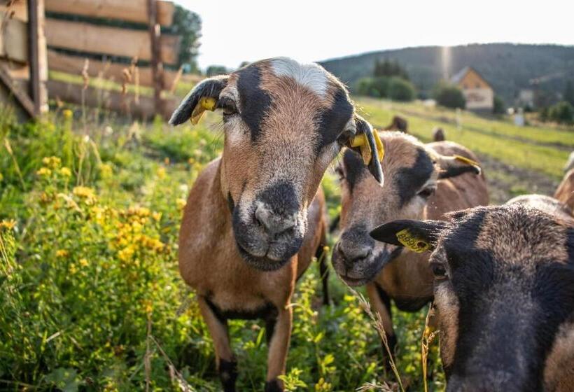 Wellness Hotel Sauna