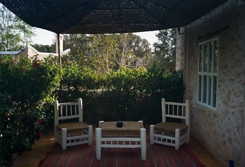 Hotelli Out Of Medina