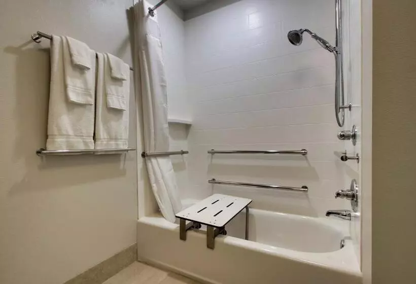 ホテル Holiday Inn Express & Suites   Mount Vernon, An Ihg