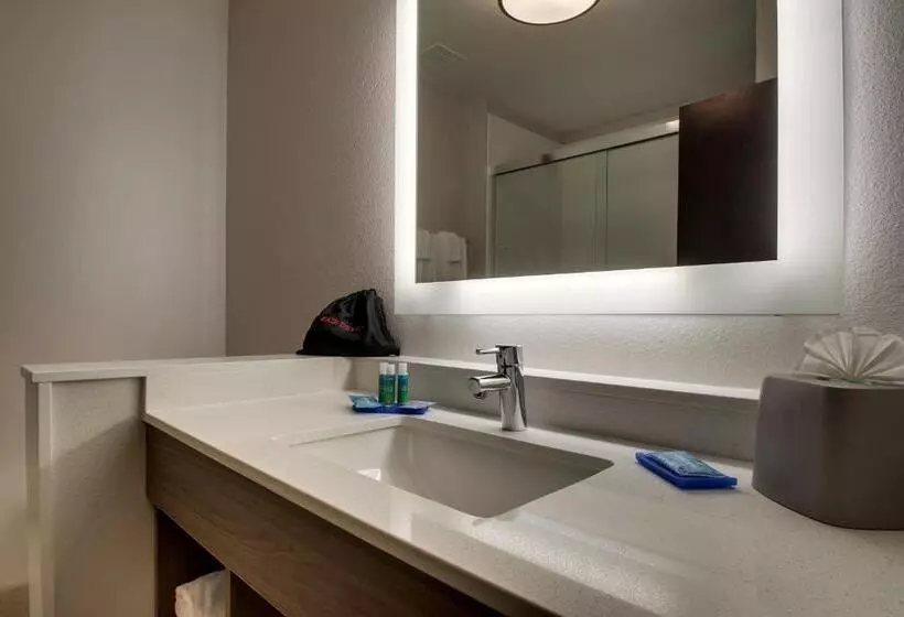 ホテル Holiday Inn Express & Suites   Mount Vernon, An Ihg