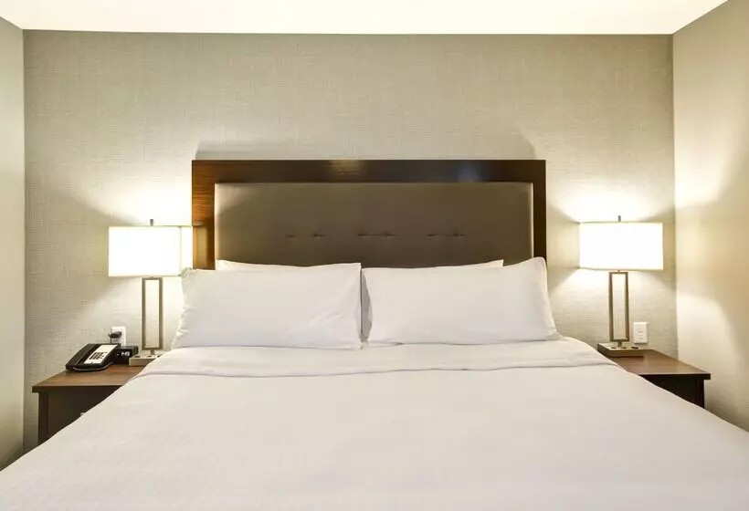 ホテル Homewood Suites By Hilton Phoenix Tempe Asu Area