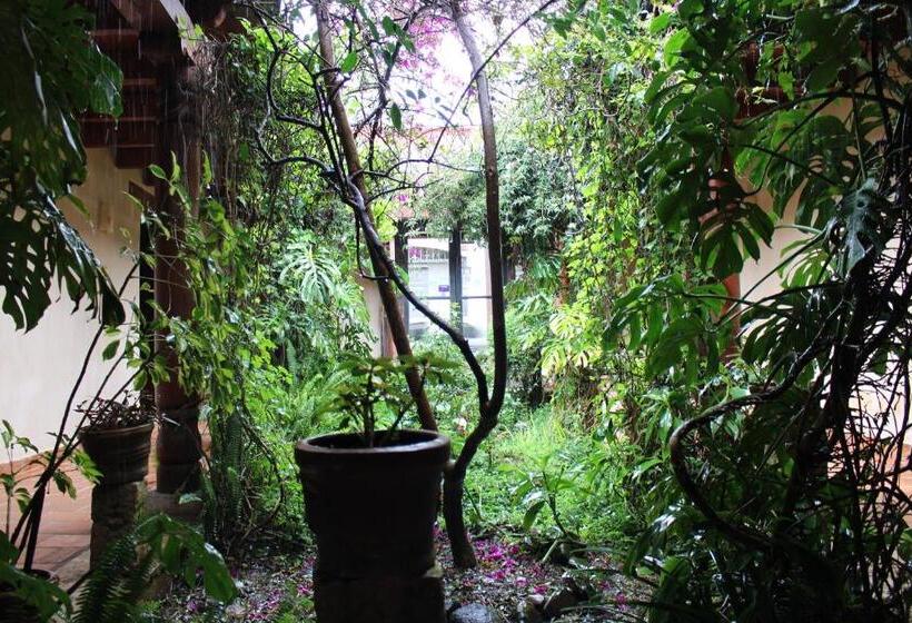 فندق Parador Margarita