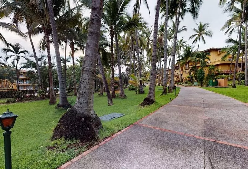 ホテル Park Royal Homestay Los Tules
