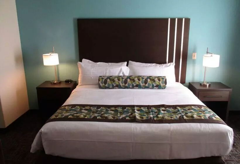 Hotelli Best Western Plus/executive Residency Elk City