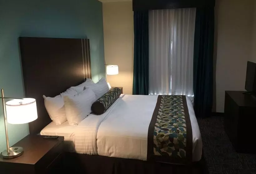 Hotelli Best Western Plus/executive Residency Elk City