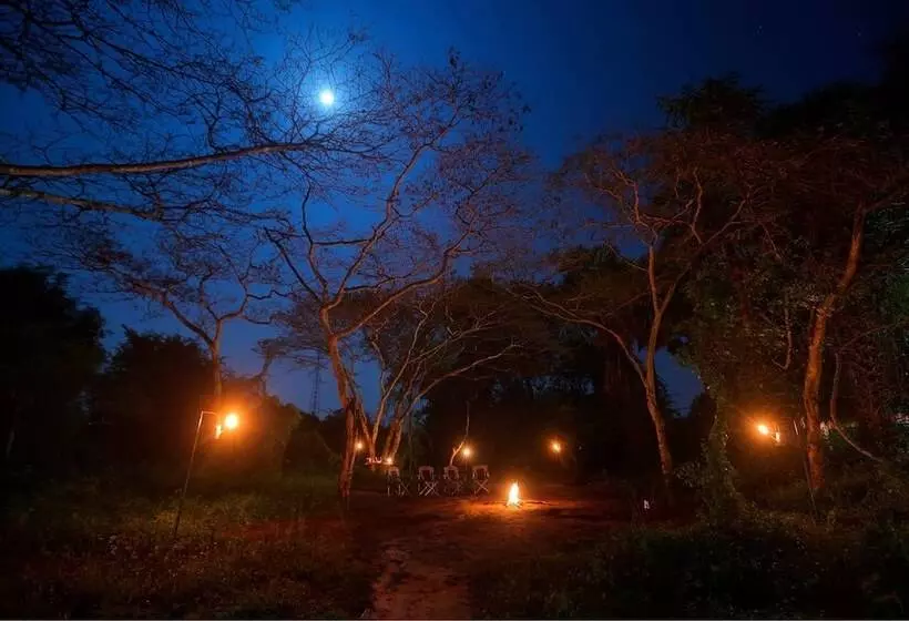 هتل Wilpattu Safari Camp   Campground