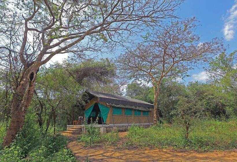 호텔 Wilpattu Safari Camp   Campground