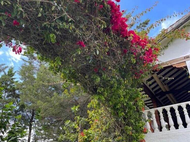 פנסיון Lo Nuestro   Hospedería